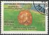 Colnect-2027-833-Ploughshare-Tortoise-Geochelone-yniphora.jpg