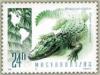 Colnect-610-679-American-Alligator-Alligator-mississippiensis.jpg