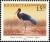 Colnect-1112-161-Black-Stork-nbsp-Ciconia-nigra.jpg