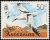Colnect-1405-643-White-tailed-Tropicbird-Phaethon-lepturus.jpg