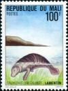 Colnect-2503-835-African-Manatee-Trichechus-manatus-senegalensis.jpg
