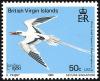 Colnect-2650-322-White-tailed-Tropicbird-Phaethon-lepturus.jpg