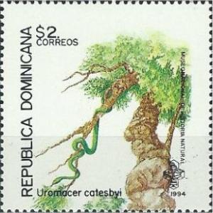 Colnect-3147-394-Blunt-headed-Treesnake-Uromacer-catesbyi-.jpg