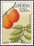 Colnect-1177-601-Fruits-of-Guinea-Bissau.jpg