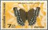 Colnect-2340-911-Junglequeen-Butterfly-Stichopthalma-godfreyi.jpg