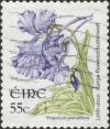 Colnect-2442-851-Large-flowered-Butterwort---Pinguicula-grandiflora.jpg