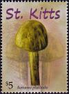 Colnect-5165-052-Battarrea-phalloides.jpg