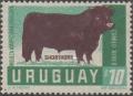 Colnect-1112-218-Shorthorn-Cattle-Bos-primigenius-taurus.jpg