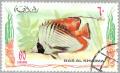 Colnect-2423-518-Threadfin-Butterflyfish-Chaetodon-auriga.jpg