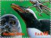 Colnect-138-628-Harbour-Seal-Phoca-vitulina-Gentoo-Pinguin-Pygoscelis-pa.jpg