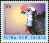 Colnect-1713-568-Wattled-Brushturkey-Aepypodius-arfakianus.jpg