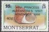 Colnect-3600-471-Channelled-Turban-Turbo-canaliculatus.jpg