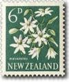 Colnect-447-520-Pikiarero-Sweet-Autumn-Clematis-Clematis-paniculata.jpg