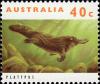 Colnect-3953-151-Duck-billed-Platypus-Ornithorhynchus-anatinus.jpg