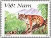 Colnect-1656-041-Leopard-Cat-Prionailurus-bengalensis.jpg