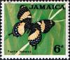 Colnect-3662-680-Jamaican-Giant-Swallowtail-Papilio-homerus.jpg