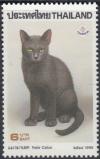 Colnect-4900-526-Korat-Cat-Felis-silvestris-catus.jpg