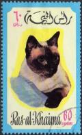 Colnect-978-724-Siamese-Cat-Felis-silvestris-catus.jpg
