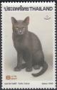 Colnect-4900-526-Korat-Cat-Felis-silvestris-catus.jpg