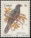 Colnect-1476-728-Black-Cuckoo-Cuculus-clamosus.jpg