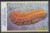 Colnect-2027-810-Curry-Sea-Cucumber-Stichopus-hermanni.jpg