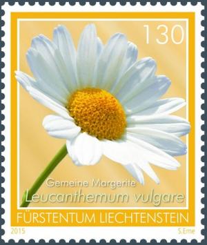Colnect-2851-896-Leucanthemum-vulgare.jpg