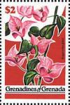 Colnect-3674-967-Bougainvillea-glabra.jpg