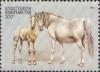 Colnect-990-639-Arabian-Thoroughbred-Equus-ferus-caballus.jpg