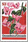 Colnect-3674-967-Bougainvillea-glabra.jpg