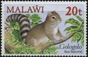 Colnect-1734-803-Gambian-Sun-Squirrel-Heliosciurus-gambianus.jpg