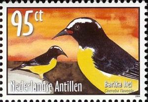Colnect-966-918-Bananaquit%C2%A0Coereba-flaveola.jpg