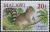 Colnect-1734-803-Gambian-Sun-Squirrel-Heliosciurus-gambianus.jpg
