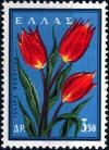 Colnect-3105-748-Wild-Tulips-Tulipa-boeotica.jpg