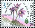 Colnect-2845-955-Pulsatilla-slavica.jpg