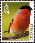 Colnect-5764-079-Eurasian-Bullfinch-Pyrrhula-pyrrhula.jpg