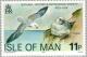 Colnect-124-393-Northern-Fulmar-Fulmarus-glacialis.jpg