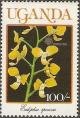 Colnect-2134-805-Eulophia-speciosa.jpg