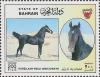 Colnect-2828-610--quot-Kuheilaan-Weld-umm-Zorayr-quot--Equus-ferus-caballus.jpg