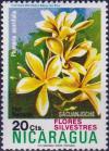 Colnect-3891-094-Plumeria-acutifolia.jpg