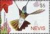 Colnect-4562-569-Rivoli-s-hummingbird-Eugenes-fulgens.jpg