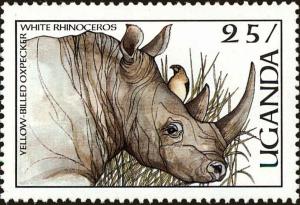 Colnect-6296-763-Cerathoterium-simum-Buphagus-africanus.jpg