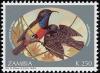 Colnect-1502-675-Anchieta-s-Sunbird-Anthreptes-anchietae.jpg