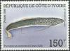 Colnect-1738-701-West-African-Lungfish-Protopterus-annectens.jpg