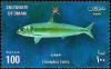 Colnect-1899-632-Red-eye-Round-Herring-Etrumeus-teres.jpg