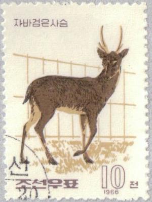 Colnect-2613-471-Indian-Muntjac-Muntiacus-muntjak.jpg