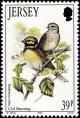 Colnect-6126-328-Cirl-Bunting-Emberiza-cirlus.jpg