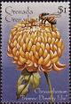 Colnect-3957-070-Chrysanthemum--quot-Primrose-Dorothy-Else-quot-.jpg