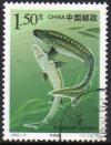 Colnect-2197-777-Chinese-Sturgeon-Acipenser-sinensis.jpg