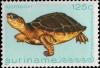 Colnect-2564-073-Spot-legged-Turtle-Rhinoclemys-punctularia.jpg