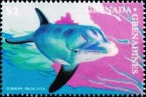 Colnect-4385-374-Tursiopa-truncatus.jpg